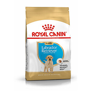 Royal Canin labradora retrīvera kucēns 3 kg