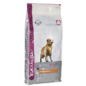 EUKANUBA zelta retrīvera cālis 12 kg