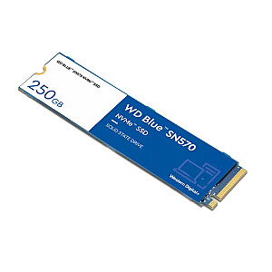 Cietvielu disks Western Digital BLUE 250GB NVME WDS250G3B0C