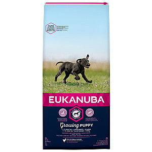 Eukanuba augošs lielas šķirnes kucēns 15 kg
