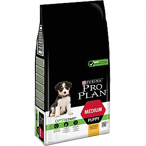 Purina 12367294 sausā barība suņiem 12 kg Pieauguša vista