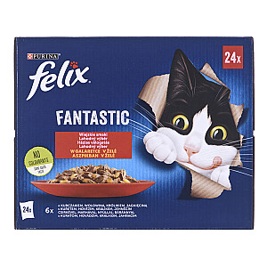 Felix Fantastic Village Flavours in Jelly - mitrā kaķu barība - 24x 85g