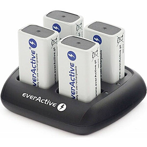 Зарядное устройство EverActive NC-109
