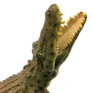 Figūriņa Nīlas krokodils (XL)