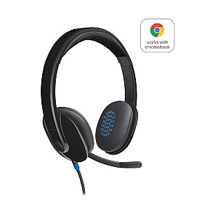 Logitech H540 USB Компьютерная гарнитура Оголовье USB Type-A Черный