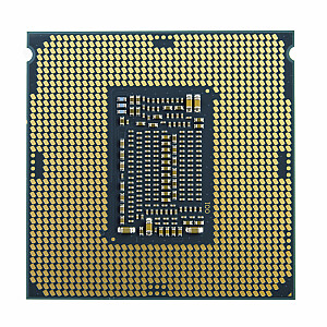 Intel Celeron G5905 procesors 3,5 GHz 4 MB viedās kešatmiņas kaste