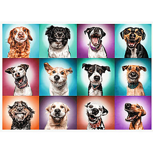 TREFL Puzzle Dogs, 2000 шт.