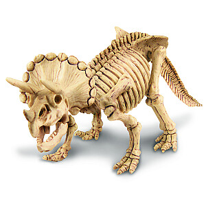 4M Izroc Triceratopu