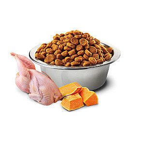 Farmina Pet Food N&D Pumpkin feline Adult 1,5 kg sausā kaķu barība ar vistu