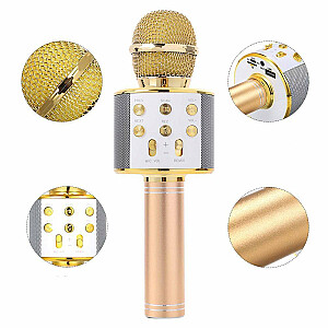 RoGer Bluetooth Karaoke Mikrofons Ar iebūvētu Skaļruni / 2x 5W / Aux / USB / MicroSD / Zelta