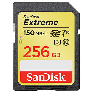 MEMORY SDXC 256GB UHS-1/SDSDXV5-256G-GNCIN SANDISK