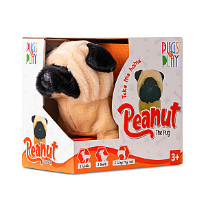 PUGS AT PLAY Staigājošs suns "Peanut"