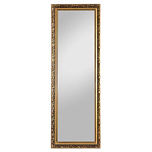 Зеркало в раме ПИУС, 50xh150 см H0055015