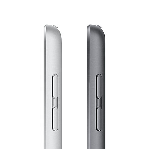 Apple iPad 4G LTE 256 GB 25,9 cm (10,2 collas) Wi-Fi 5 (802.11ac) iPadOS 15, pelēks
