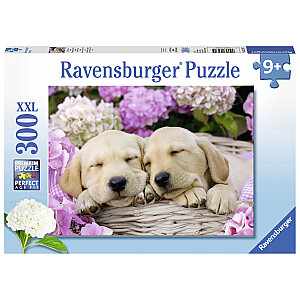 RAVENSBURGER puzle Dogs In The Basket 300p, 13235