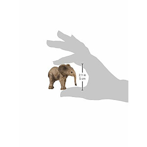 Детеныш африканского слона