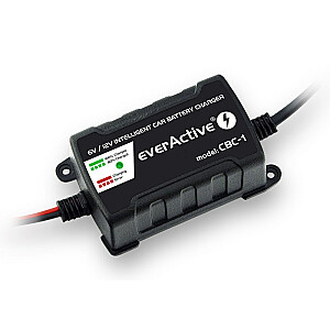 Автомобильное зарядное устройство everActive CBC1 6V/12V
