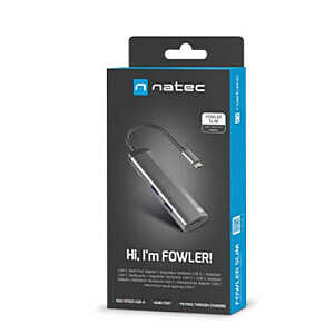 NATEC Fowler Slim Wired USB 3.2 Gen 1 (3.1 Gen 1) Type-C, черный, хром