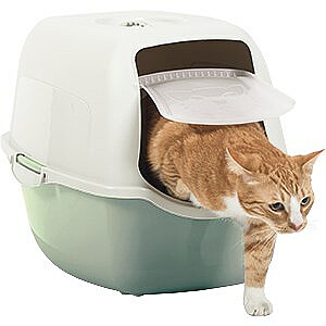 Туалет Rotho Bailey Cat с капюшоном Зеленый, Белый