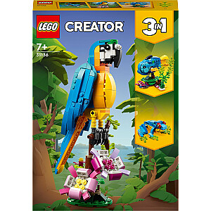 LEGO Creator eksotiskais papagailis (31136)