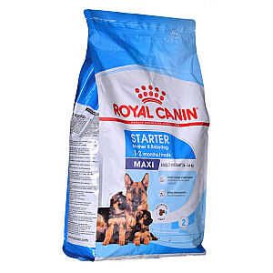 ROYAL CANIN SHN Maxi Starter Mother & Babydog - sausā suņu barība - 4 kg