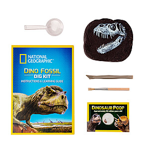 NATIONAL GEOGRAPHIC комплект Dino Fossil Dig, RTNGDINO2