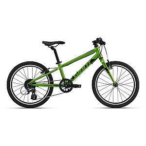 Bērnu velosipēds Giant ARX 20 Metallic Green (2023.g)