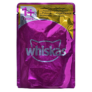 Whiskas vištienos troškinio želė 40 x 85 g