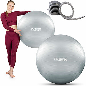 Мяч физкультурный 75 см NS-952 серебро