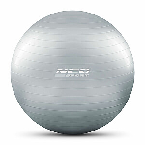 Мяч физкультурный 65 см NS-951 серебро