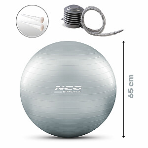 Мяч физкультурный 65 см NS-951 серебро