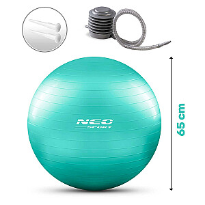 Мяч фитбол 65 см NS-951 бирюзовый