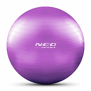 Мяч фитбол 65 см NS-951 фиолетовый