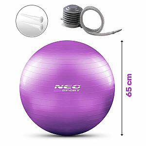 Fitball 65 cm NS-951 violets