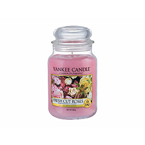 Yankee Candle Fresh Cut Roses Burka lielais 623g