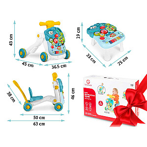 Mācību galds 4in1 Ricokids zaļš 781500