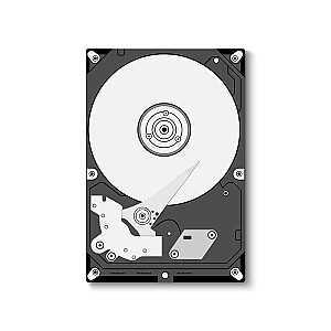 Cietie diski (HDD)