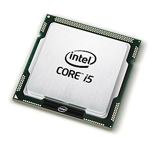 Renew procesori (CPU)