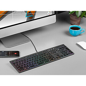 Клавиатура A4Tech FSTYLER FX60H (неоновая подсветка) USB QWERTY Черный, Серый