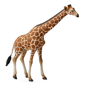 Коллекция (40) Жирафе 88534
