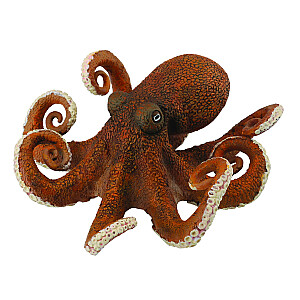 COLLECTA (XL)  Astoņkājis 88485