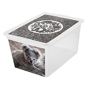 Uzglabāšanas kaste 30L X box deco koala