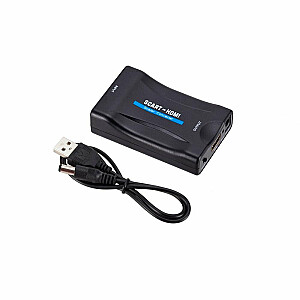 RoGer Адаптер для Преобразования сигнала SCART на HDMI (+Audio) Черный