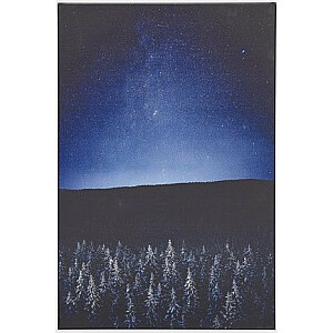 Белиани Лумарко Картина на холсте в раме ночной пейзаж 63 х 93 см сине-черный ЛОРЕТО!