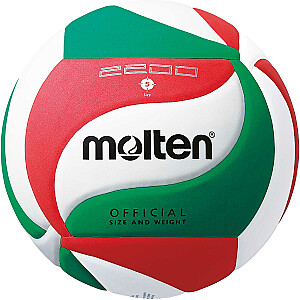 Сетка для мячей тренировочная MOLTEN V5M2200 искусственная кожа