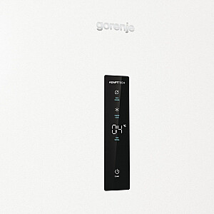 Ledusskapis Gorenje R619EAW6